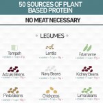 50 Superb Sources of Plant-Based Protein [Infographic]