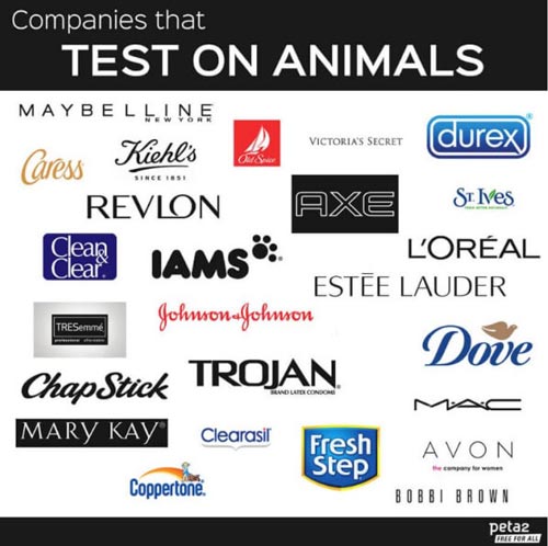 firmy, które testują na zwierzętach