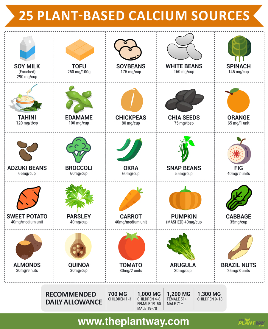 Sources Of Calcium Chart