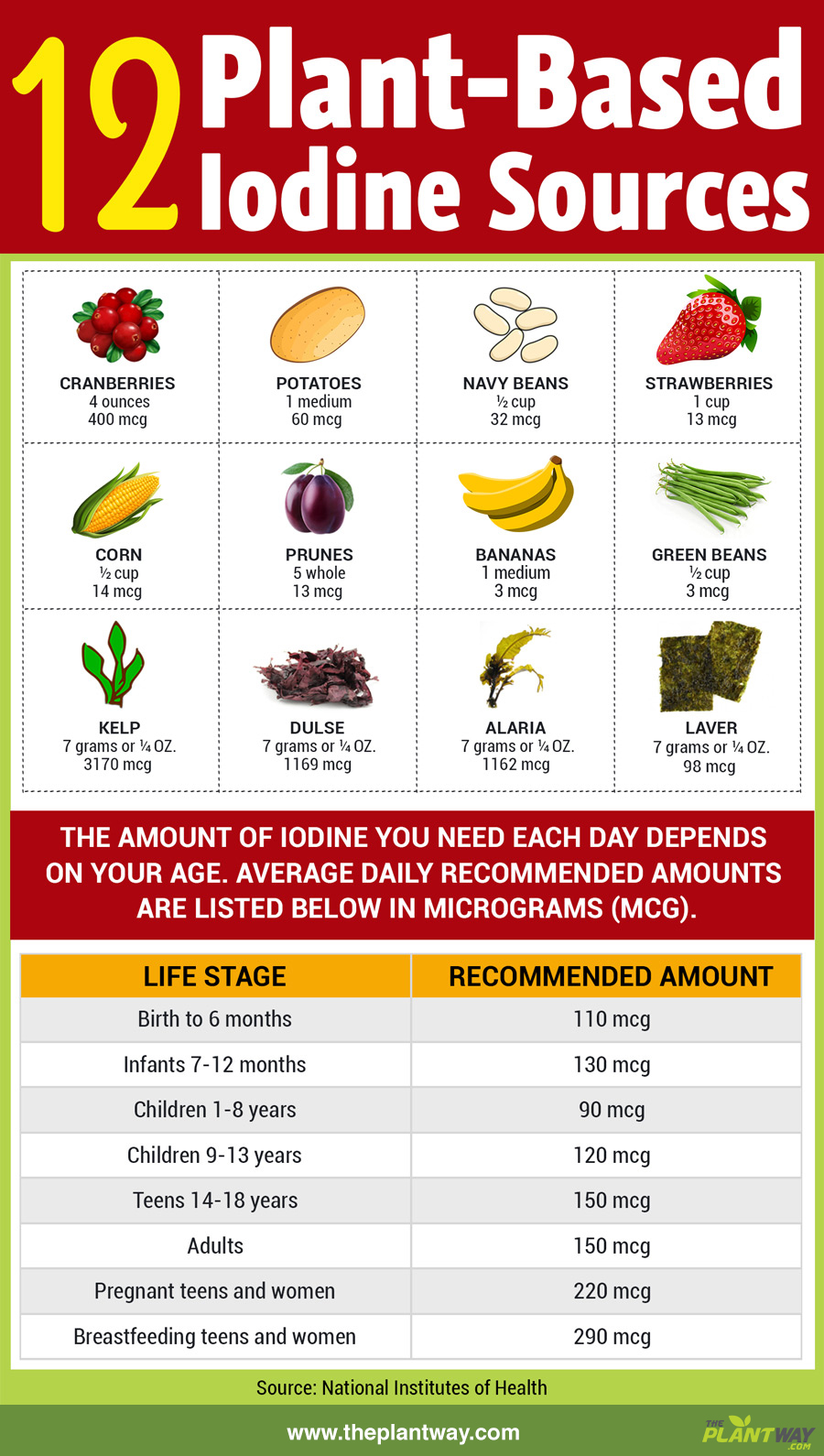 plant-based-iodine-sources