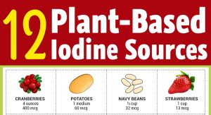 vegan-iodine-sources