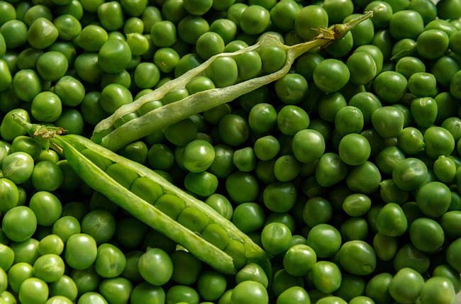 peas-high-protein-vegetables