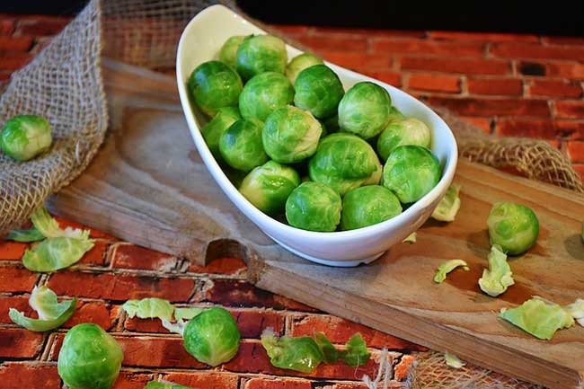 brussels-sprouts-vegan-sources-choline