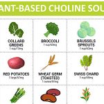 25 Plant-Based (Vegan) Sources of Choline
