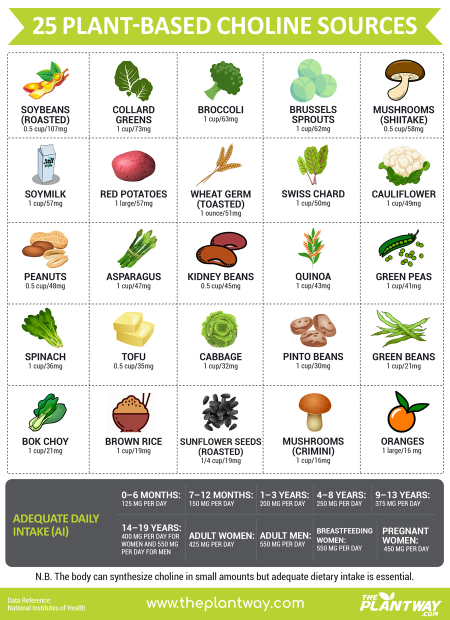 vegan sources of choline