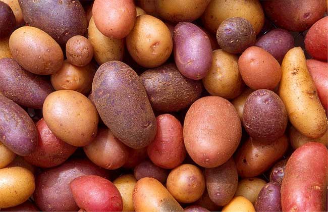 red-potato-vegan-choline