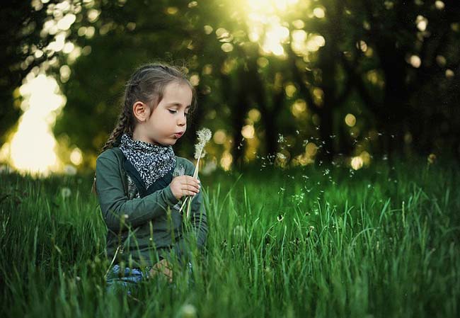 dandelion-health-benefits