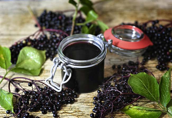 Can Elderberry Prevent & Treat Flu? Here's What the Science Says