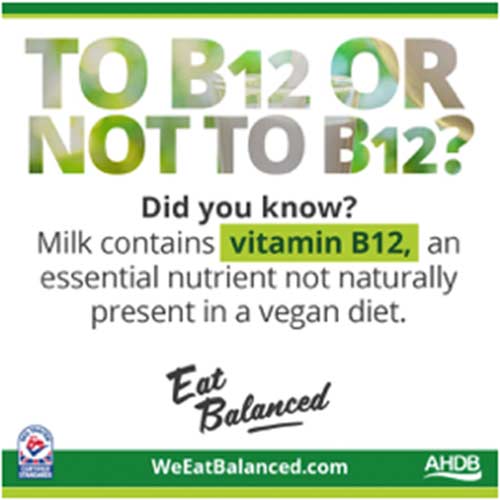 b12-vegan-diet